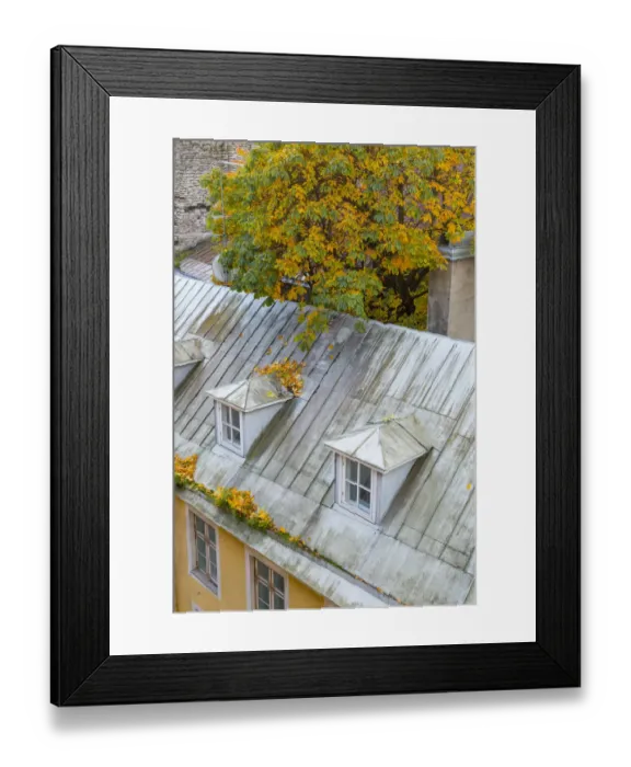 Framed Print : Baltic States, Estonia, Tallinn. Rooftops near city walls Framed Print : Baltic States, Estonia, Tallinn. Rooftops near city walls