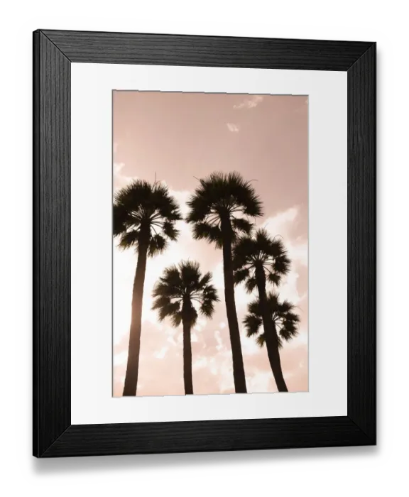 Framed Print : Palm trees. Luxor, Egypt Framed Print : Palm trees. Luxor, Egypt