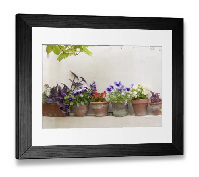 Framed Print : Croatia, Dubrovnik. Attractive flowers clay pots