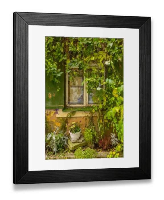 Framed Print : Baltic States, Estonia, Tallinn. Tallinn Old Town, city windows with vine covered