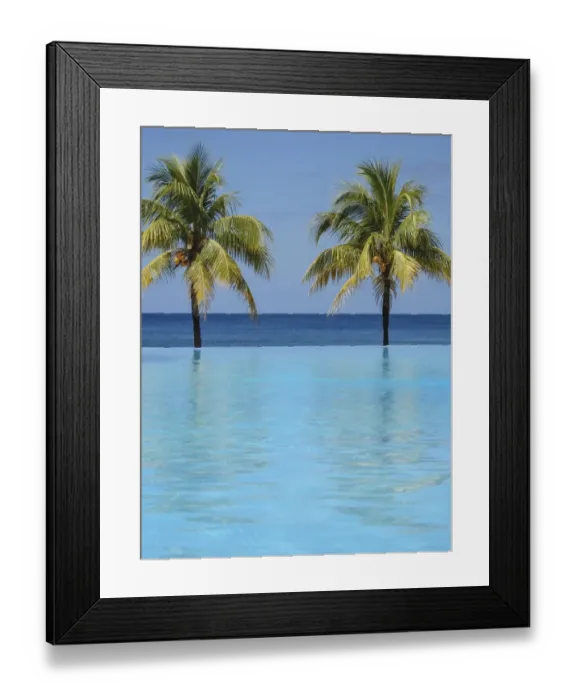 Framed Print : Caribbean, Honduras, Roatan. Infinity pool surrounded by palm trees Framed Print : Caribbean, Honduras, Roatan. Infinity pool surrounded by palm trees