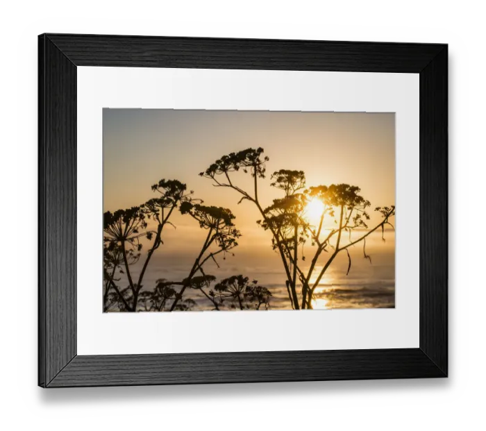 Framed Print : USA, California. Sunset over the Pacific Ocean, seen from Pacific Coast Highway on San Framed Print : USA, California. Sunset over the Pacific Ocean, seen from Pacific Coast Highway on San
