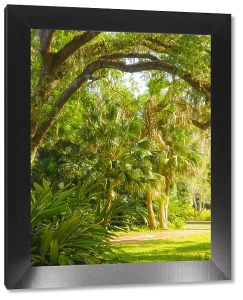 USA, Florida. Botanical gardens, Washington Oaks Gardens State Park