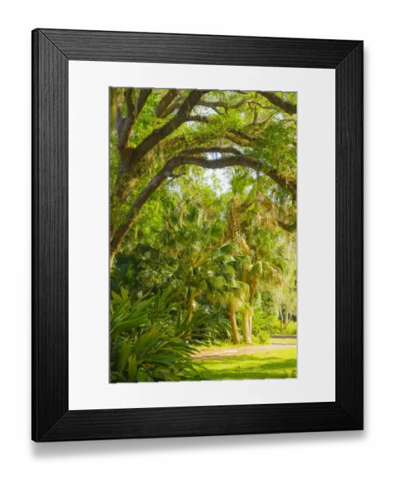 Framed Print : USA, Florida. Botanical gardens, Washington Oaks Gardens State Park