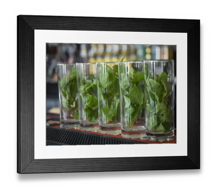 Framed Print : Cuba, Havana, mint in glasses on bar, before Mojito cocktails are mixed Framed Print : Cuba, Havana, mint in glasses on bar, before Mojito cocktails are mixed