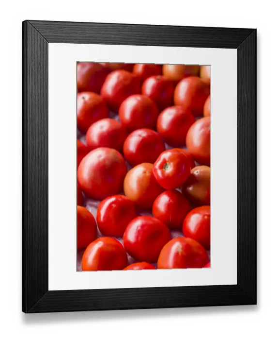 Framed Print : Canada, New Brunswick, Kennebecasis River Valley. Kingston Farmers Market in autumn
