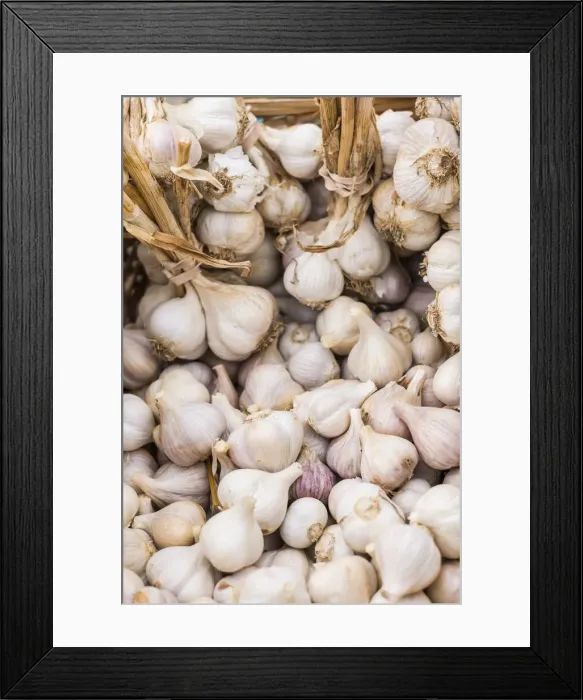 Framed Print : Canada, New Brunswick, Kennebecasis River Valley. Kingston Farmers Market in autumn
