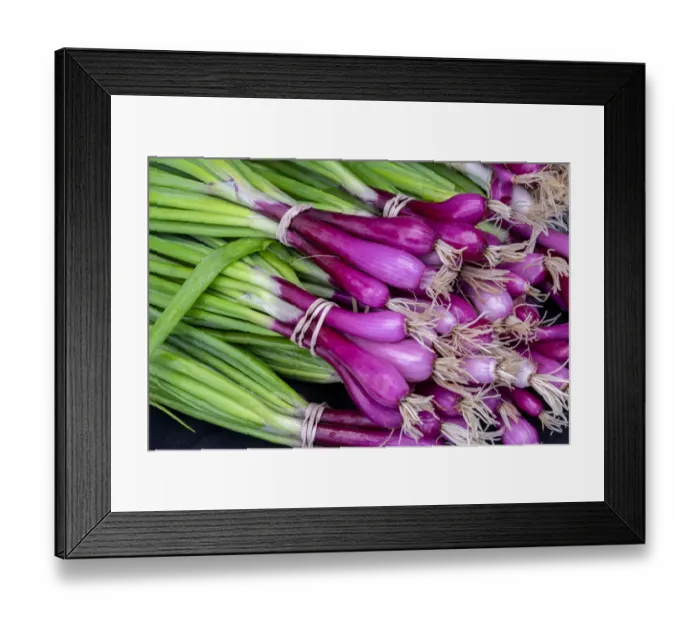 Framed Print : Purple scallions, USA Framed Print : Purple scallions, USA