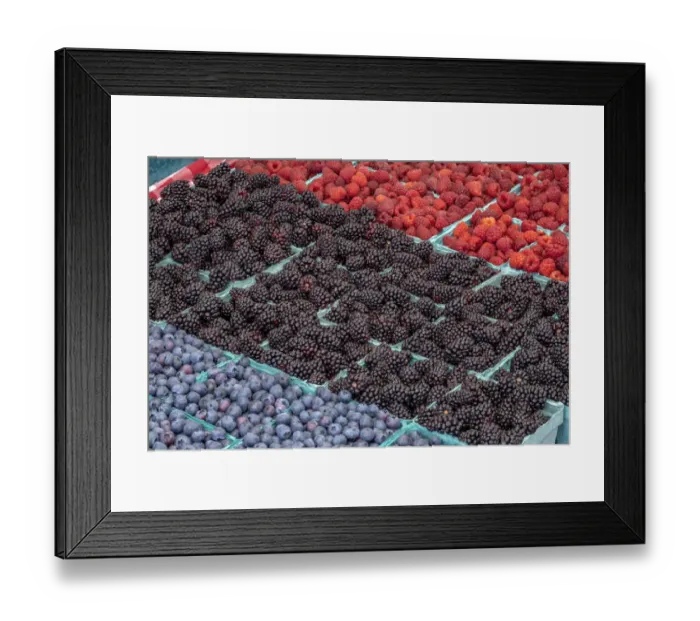 Framed Print : Colorful berries, USA Framed Print : Colorful berries, USA