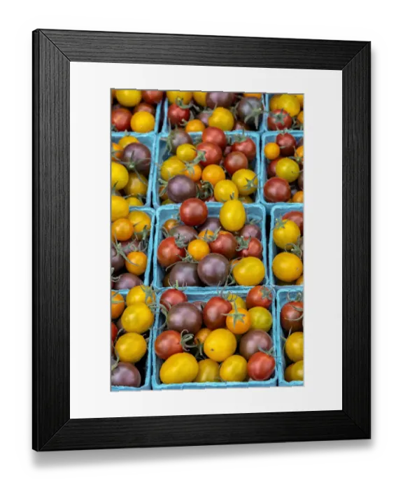 Framed Print : Heirloom cherry tomatoes, USA