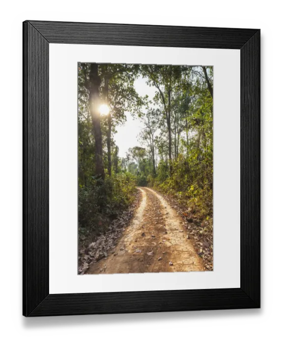 Framed Print : Laos, Sainyabuli. Dirt road