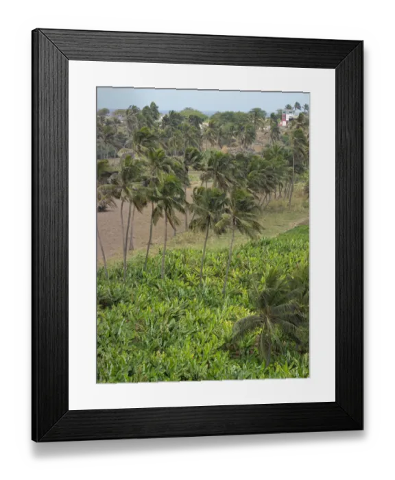 Framed Print : Agriculture near Pedra Badejo. Santiago Island, Cape Verde Framed Print : Agriculture near Pedra Badejo. Santiago Island, Cape Verde