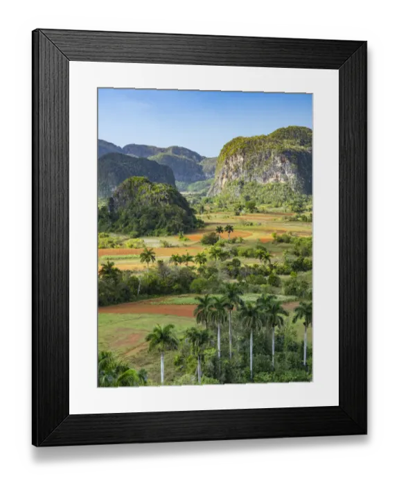 Framed Print : Cuba, Vinales, tobacco fields and limestone hills (mogotes) Framed Print : Cuba, Vinales, tobacco fields and limestone hills (mogotes)