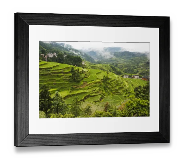 Framed Print : Rice paddy in the mountain, Zhaoxing, Guizhou Province, China Framed Print : Rice paddy in the mountain, Zhaoxing, Guizhou Province, China