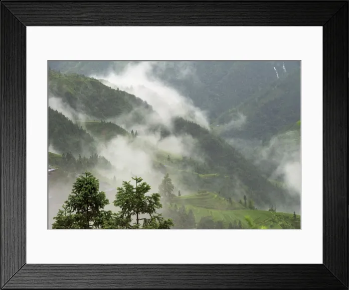 Framed Print : Rice terrace in the mountain in morning mist, Jiabang, Guizhou Province, China Framed Print : Rice terrace in the mountain in morning mist, Jiabang, Guizhou Province, China