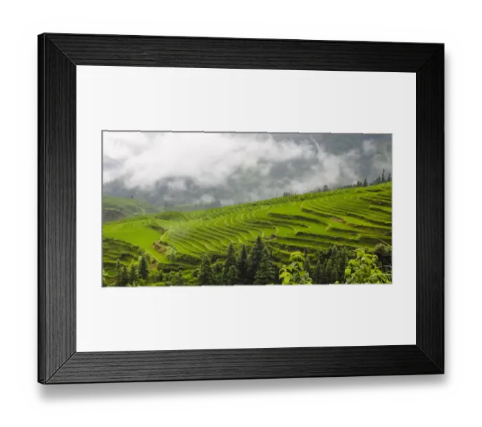 Framed Print : Rice terrace in the mountain in morning mist, Jiabang, Guizhou Province, China Framed Print : Rice terrace in the mountain in morning mist, Jiabang, Guizhou Province, China