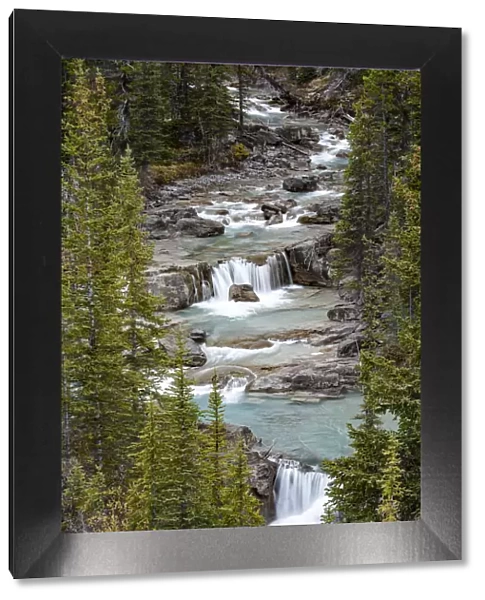 Canada, Alberta. Nigel Creek, Banff National Park