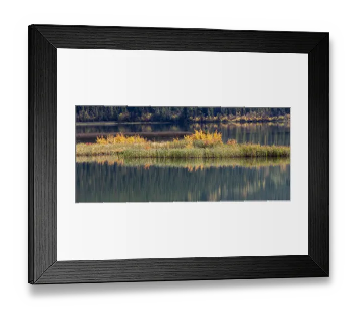 Framed Print : Canada, Alberta. Autumn grass reflections along Talbot Lake, Jasper National Park Framed Print : Canada, Alberta. Autumn grass reflections along Talbot Lake, Jasper National Park