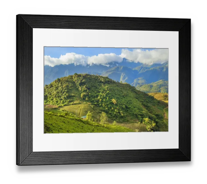 Framed Print : View of the rice fields and harvest, Sapa, Vietnam Framed Print : View of the rice fields and harvest, Sapa, Vietnam