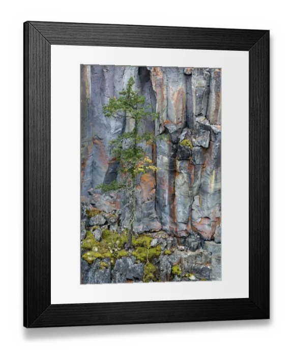 Framed Print : Canada, British Columbia. Basalt cliff with vegetation at Helmcken Falls Framed Print : Canada, British Columbia. Basalt cliff with vegetation at Helmcken Falls