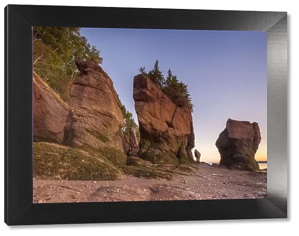 Canada, New Brunswick, Hopewell Rocks. Flowerpot Rocks formed by the great tides of the