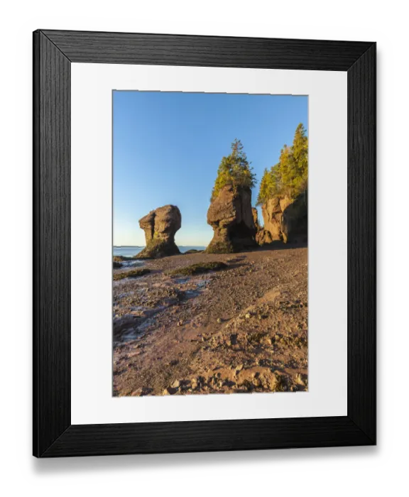 Framed Print : Canada, New Brunswick, Hopewell Rocks. Flowerpot Rocks formed by the great tides of