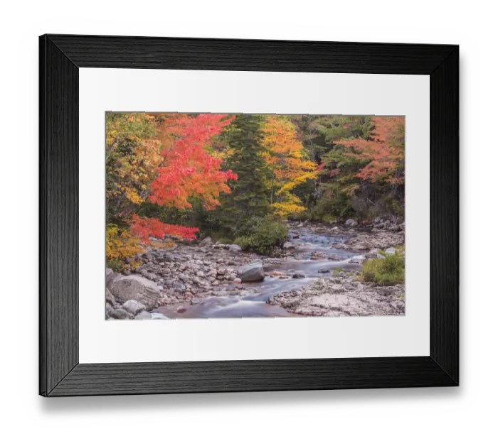 Framed Print : Canada, Nova Scotia, Cabot Trail. Neils Harbour, Cape Breton Highlands National Park Framed Print : Canada, Nova Scotia, Cabot Trail. Neils Harbour, Cape Breton Highlands National Park