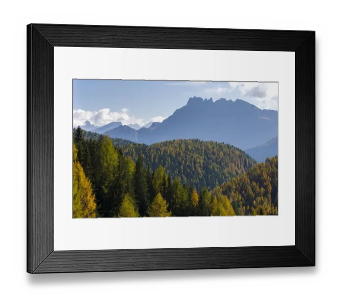 Framed Print : Mountain forest in Val di San Pellegrino in in the dolomites of Trentino, Italy Framed Print : Mountain forest in Val di San Pellegrino in in the dolomites of Trentino, Italy