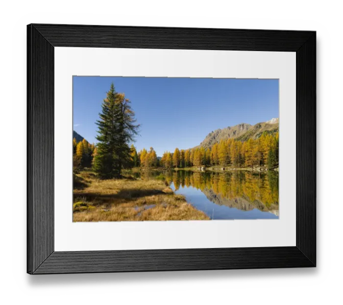 Framed Print : Lago San Pellegrino (Lech de San Pelegrin) during fall at Passo San Pellegrino in Framed Print : Lago San Pellegrino (Lech de San Pelegrin) during fall at Passo San Pellegrino in