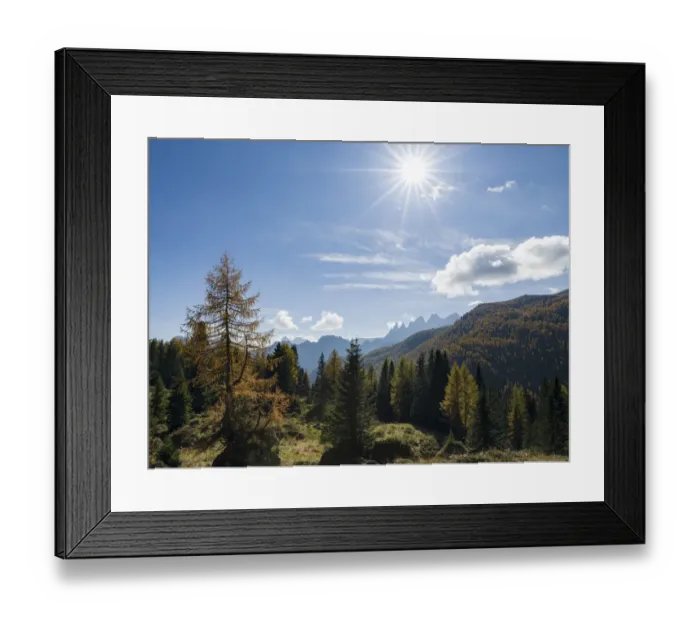 Framed Print : Mountain forest near Passo San Pellegrino, view towards Pale di San Martino Framed Print : Mountain forest near Passo San Pellegrino, view towards Pale di San Martino