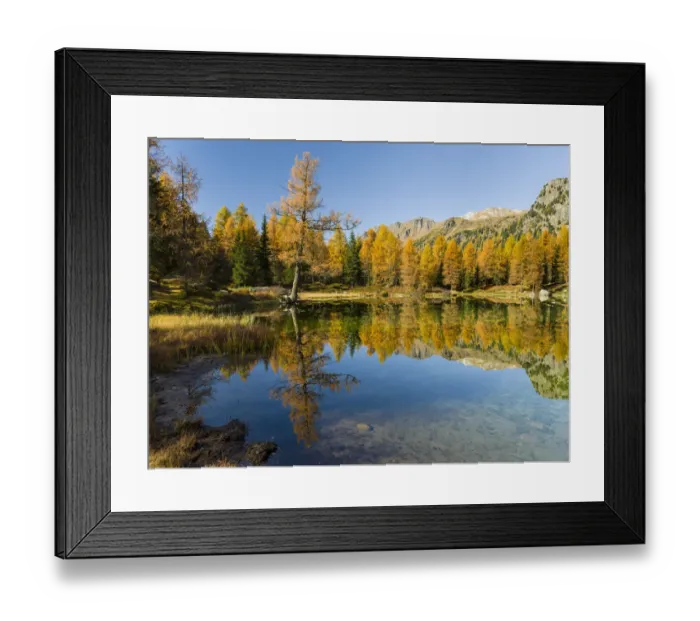 Framed Print : Lago San Pellegrino (Lech de San Pelegrin) during fall at Passo San Pellegrino in Framed Print : Lago San Pellegrino (Lech de San Pelegrin) during fall at Passo San Pellegrino in