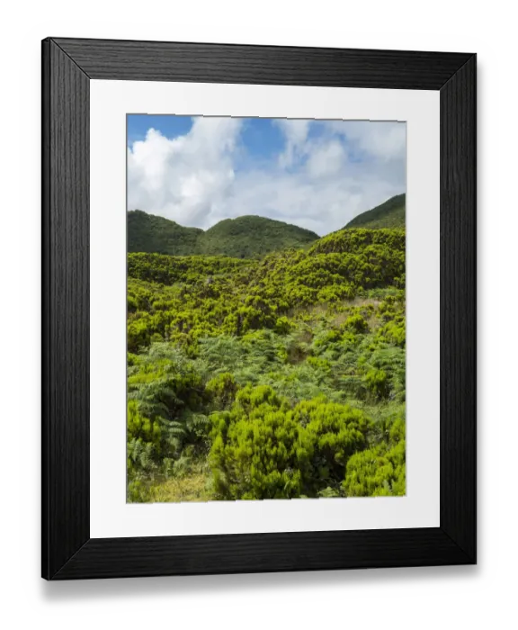 Framed Print : Landscape near cave Algar do Carvao. Terceira Island, Azores, Portugal