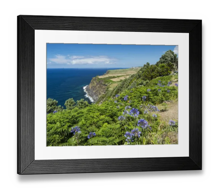 Framed Print : Landscape near Miradouro do Raminho Framed Print : Landscape near Miradouro do Raminho