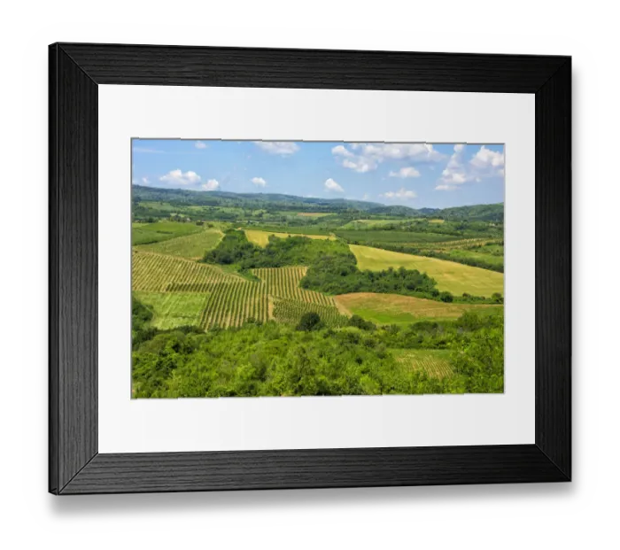 Framed Print : Winery, Sremski Karlovci, Serbia