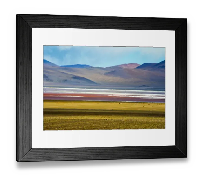 Framed Print : Alpacas on the shore of Laguna Colorada with Andes Mountain