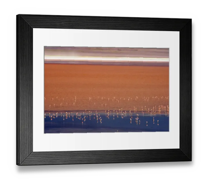Framed Print : Flamingos in Laguna Colorada, Eduardo Abaroa Andean Fauna National Reserve