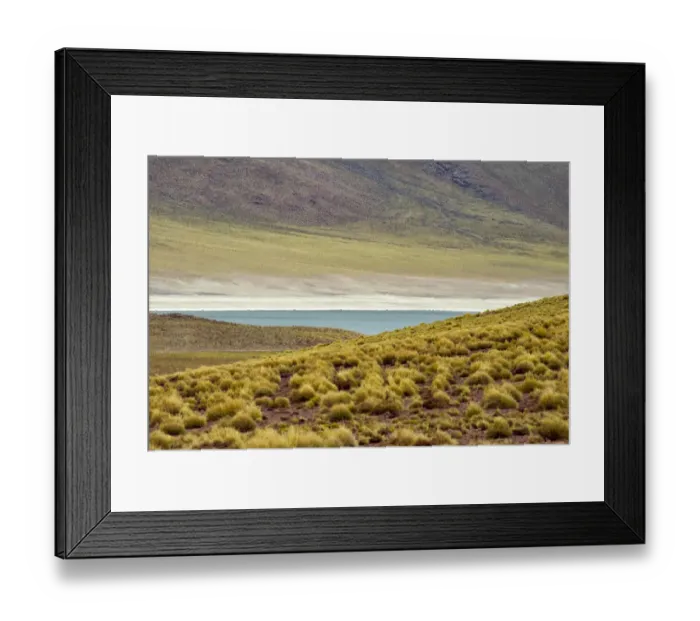 Framed Print : Laguna Miscanti, San Pedro de Atacama, Antofagasta Region, Chile