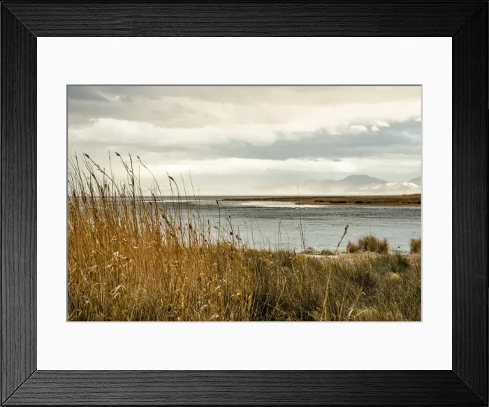 Framed Print : USA, California. Mojave Desert, Mojave National Preserve, Zzyzx, Mojave Soda lake Framed Print : USA, California. Mojave Desert, Mojave National Preserve, Zzyzx, Mojave Soda lake