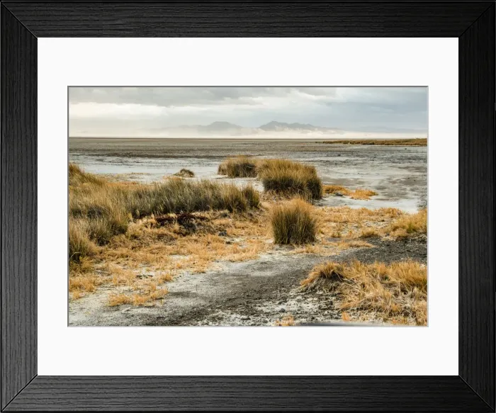 Framed Print : USA, California. Mojave Desert, Mojave National Preserve, Zzyzx, Mojave Soda lake
