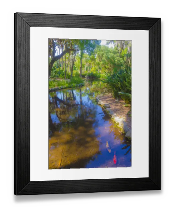 Framed Print : USA, Florida. Washington Oaks Gardens State Park pond Framed Print : USA, Florida. Washington Oaks Gardens State Park pond
