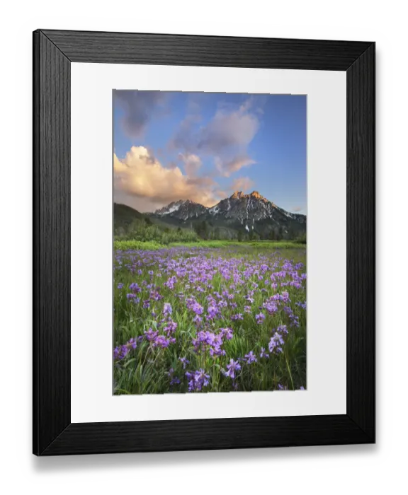 Framed Print : USA, Idaho. McGown Peak Sawtooth Mountains Framed Print : USA, Idaho. McGown Peak Sawtooth Mountains