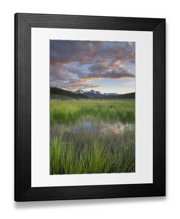 Framed Print : USA, Idaho. Wetlands in Stanley Basin, Sawtooth Mountains