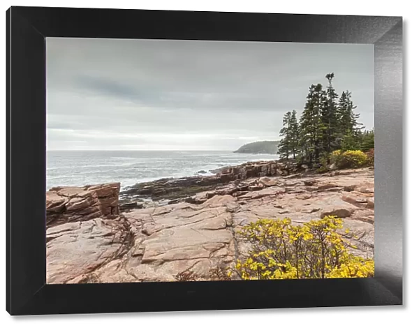 USA, Maine, Mt. Desert Island. Acadia National Park, coastal view by Thunder Hole