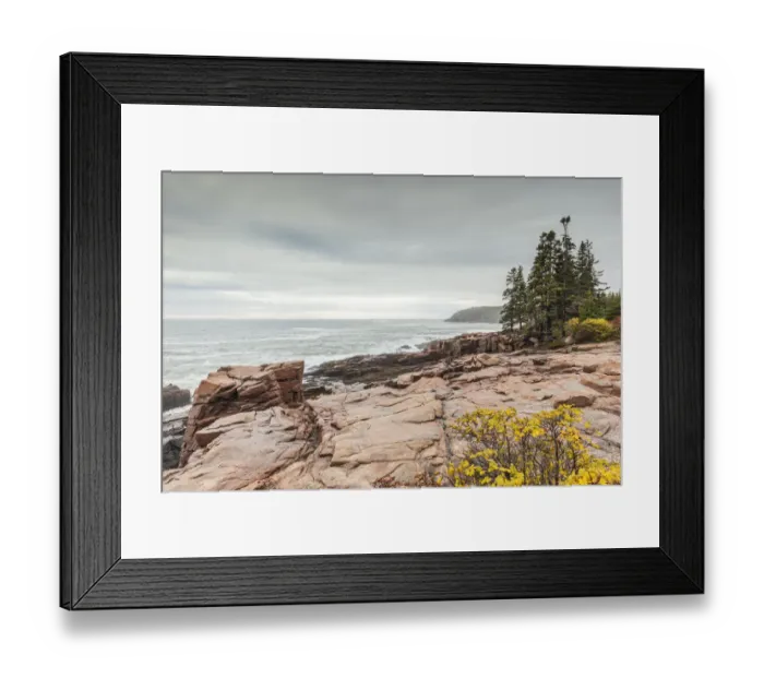 Framed Print : USA, Maine, Mt. Desert Island. Acadia National Park, coastal view by Thunder Hole Framed Print : USA, Maine, Mt. Desert Island. Acadia National Park, coastal view by Thunder Hole