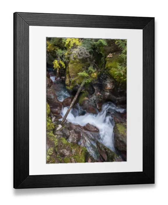 Framed Print : USA, Montana. Avalanche Creek, Glacier National Park Framed Print : USA, Montana. Avalanche Creek, Glacier National Park