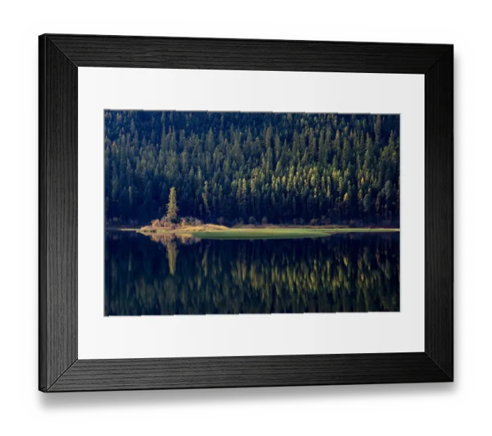 Framed Print : USA, Montana. Lone pine on island of green with reflections, Salmon Lake State Park Framed Print : USA, Montana. Lone pine on island of green with reflections, Salmon Lake State Park