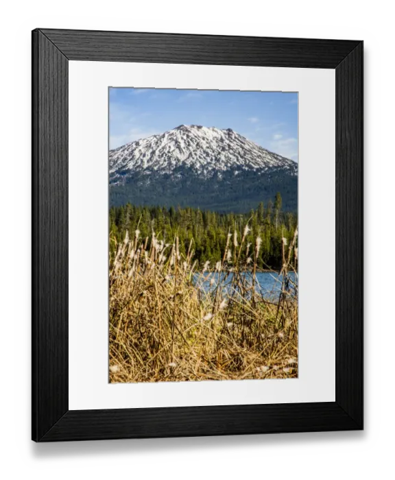 Framed Print : USA, Oregon. Deschutes River Basin, Lava Lake, cattails and Mt. Bachelor