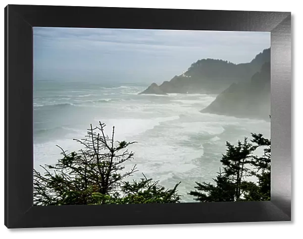 USA, Oregon. Seal Cove in fog on Pacific Coast Scenic Byway between Florence and Newport