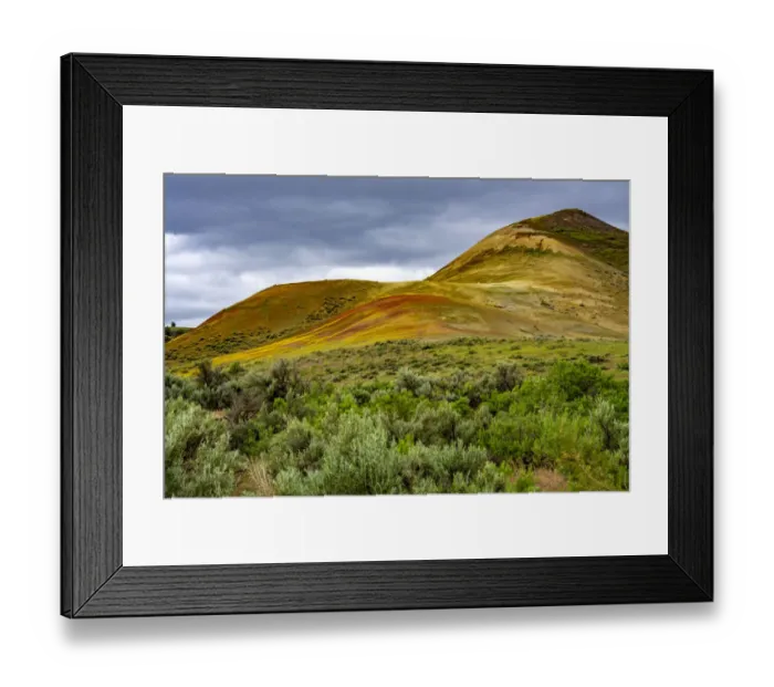 Framed Print : Painted Hills and golden bee plants