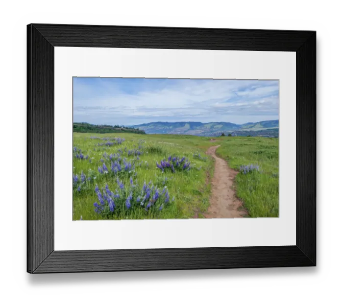 Framed Print : USA, Oregon. Tom McCall Nature Preserve, Rowena Plateau Trail Framed Print : USA, Oregon. Tom McCall Nature Preserve, Rowena Plateau Trail